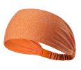 Set of 2 Yoga Sport Athletic Workout Headband Running Fitness Headband [C]