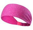 Set of 2 Yoga Sport Athletic Workout Headband Running Fitness Headband [D]